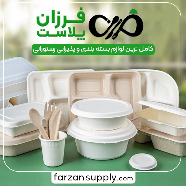 تامین ظروف یکبار مصرف رستورانی