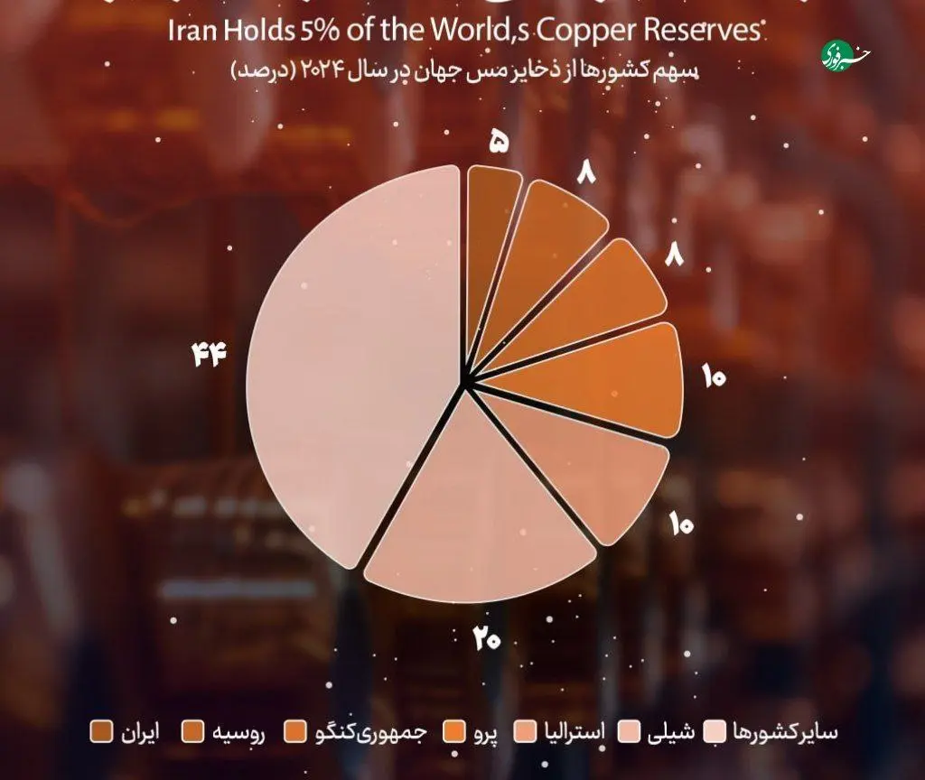 photo_2025-11-16_10-39-07