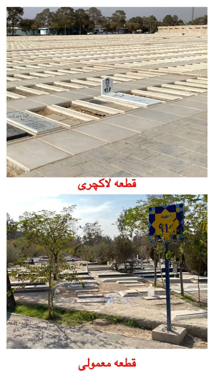 photo_2025-11-16_18-51-42 (1)