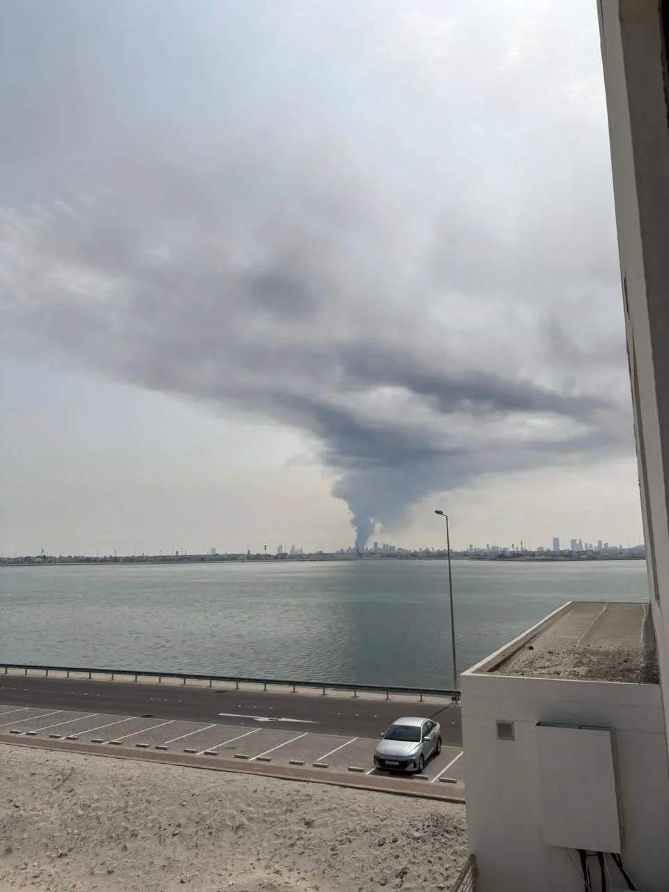 photo_2026-02-28_14-20-31