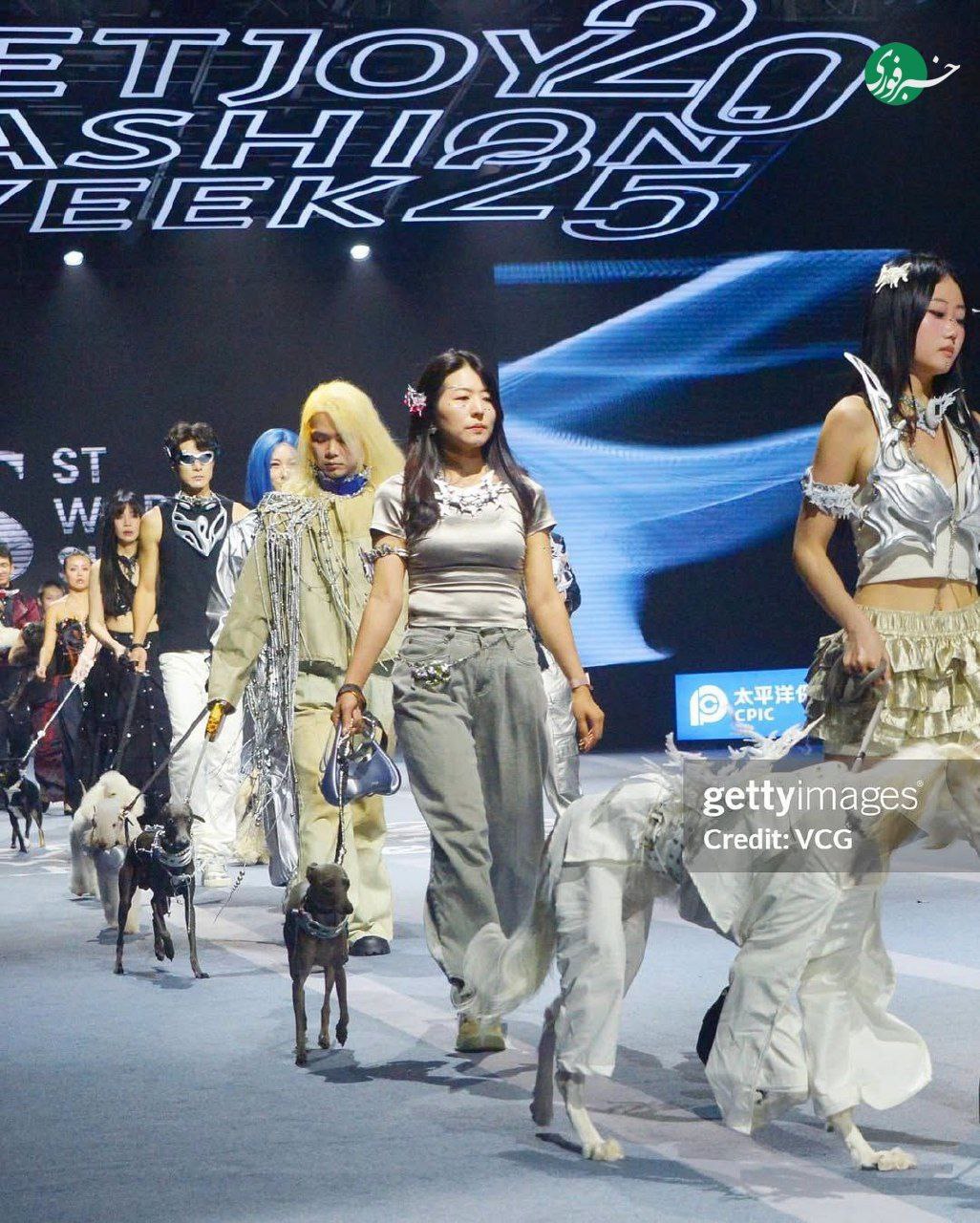 photo_۲۰۲۵-۱۱-۰۸_۰۲-۵۸-۰۶ (5)