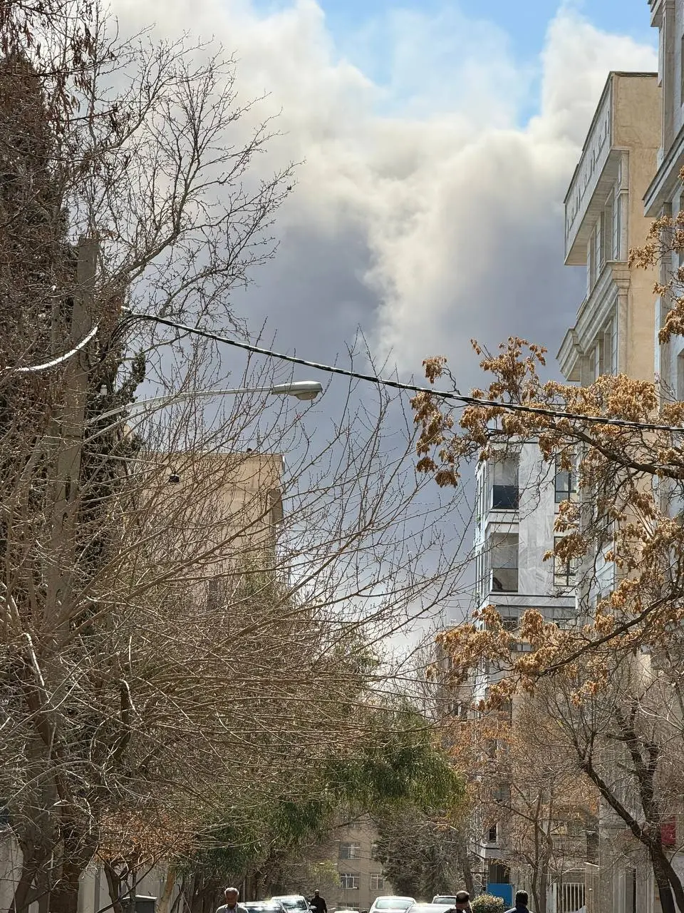 photo_2026-03-01_11-46-43