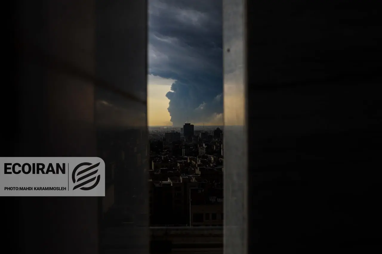 photo_2026-03-08_13-59-48 (2)