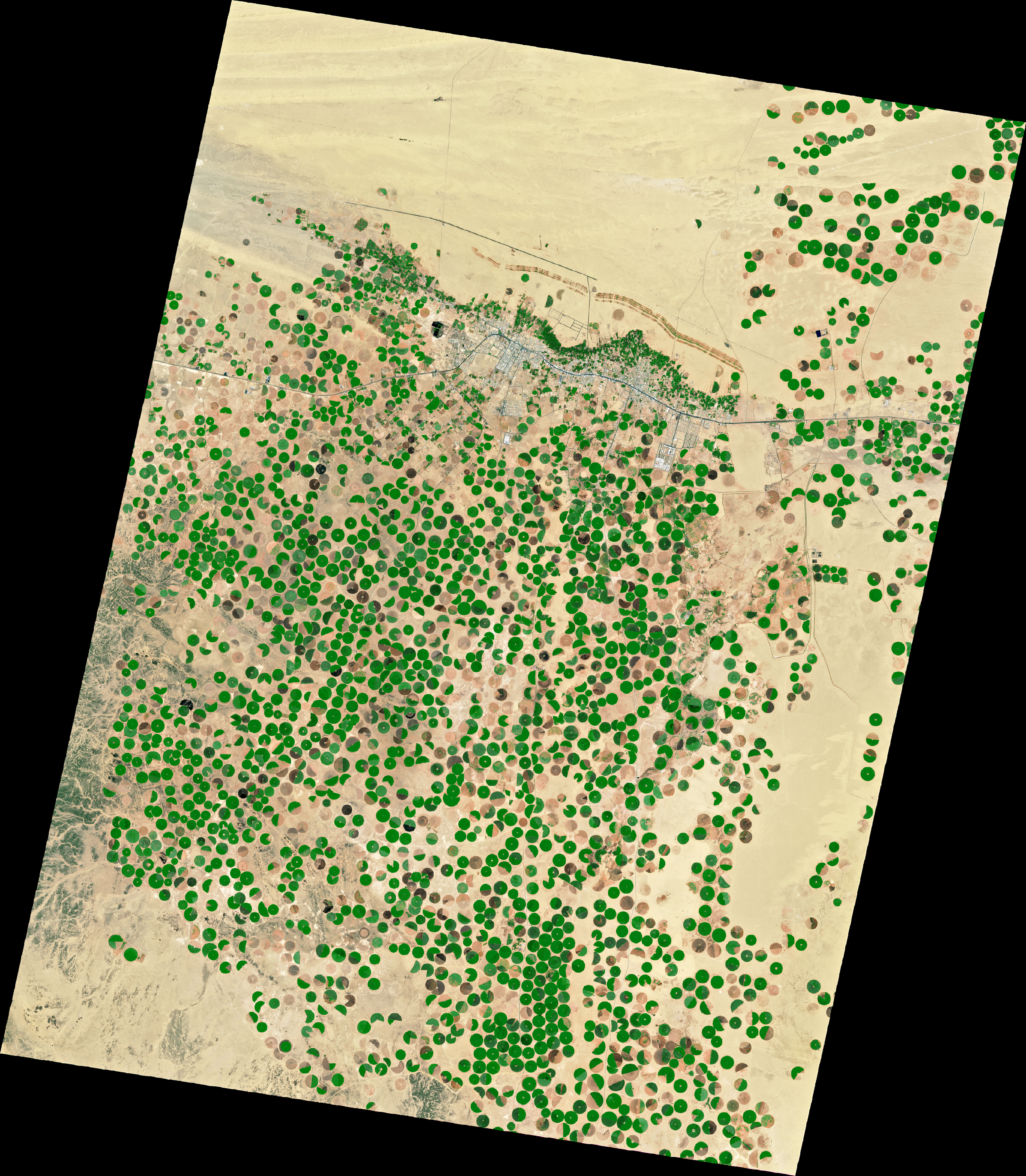 عربستان مزارع دایره ای