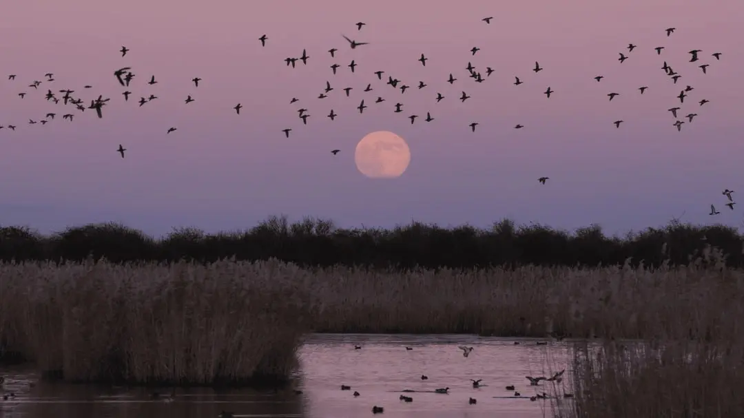 IMG_20260104_195940_213