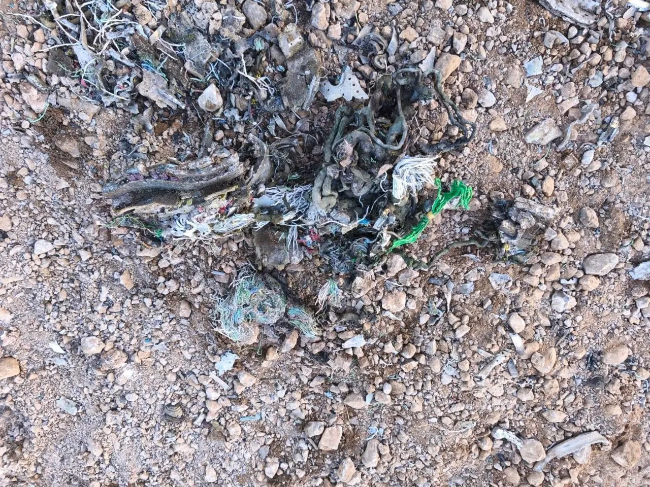 photo_2026-04-03_08-32-04 (2)