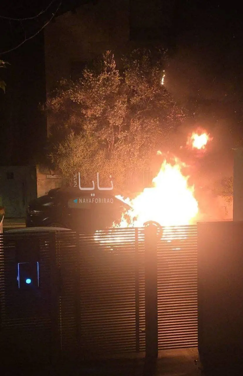 photo_2026-03-19_05-32-48