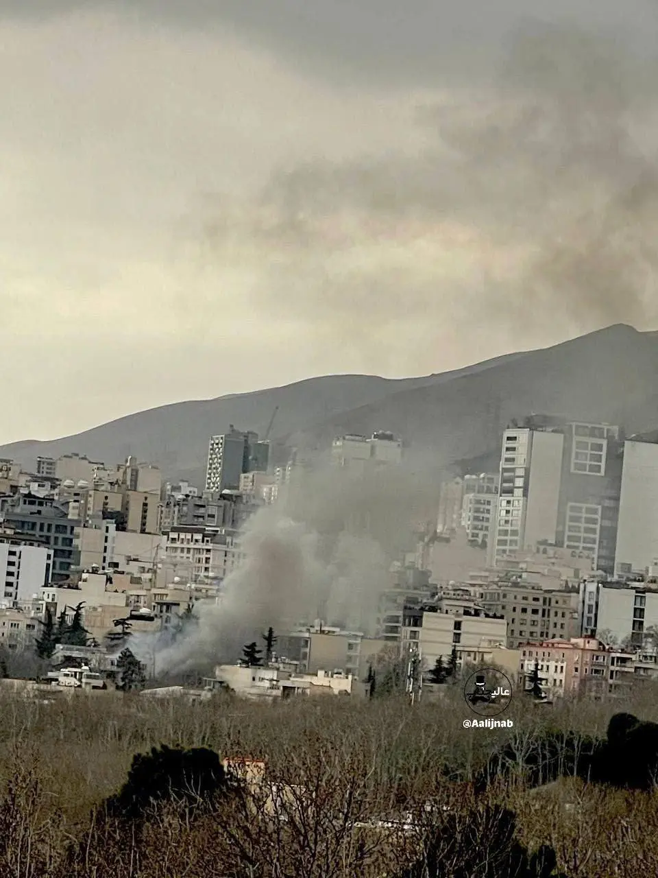 photo_2026-03-03_11-27-18