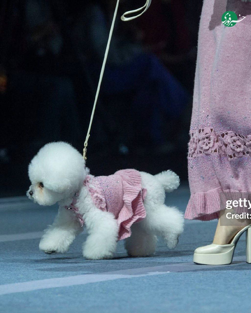 photo_۲۰۲۵-۱۱-۰۸_۰۲-۵۸-۰۶ (3)