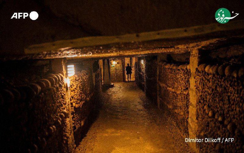 IMG_20251103_174455_786