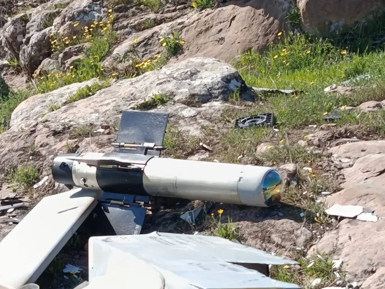 IMG_20260304_034043_313