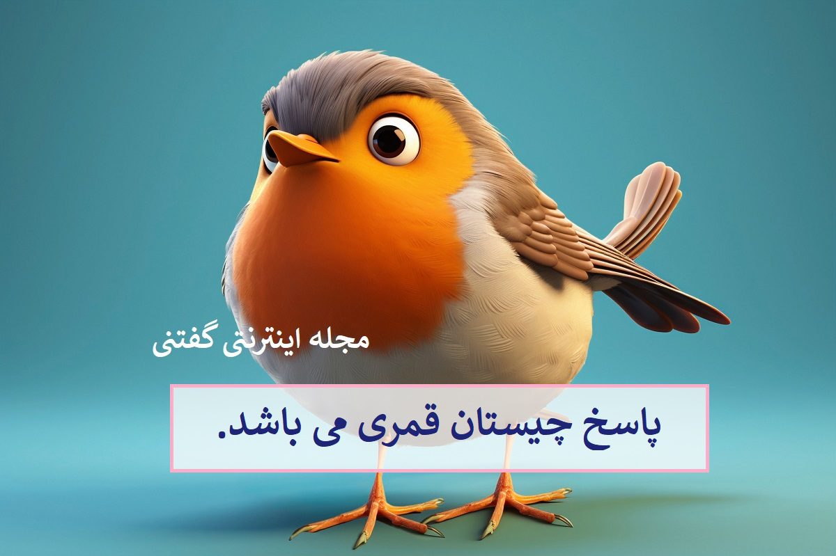 پاسخ-چیستان-اسم-پرنده-و-دو-شهر
