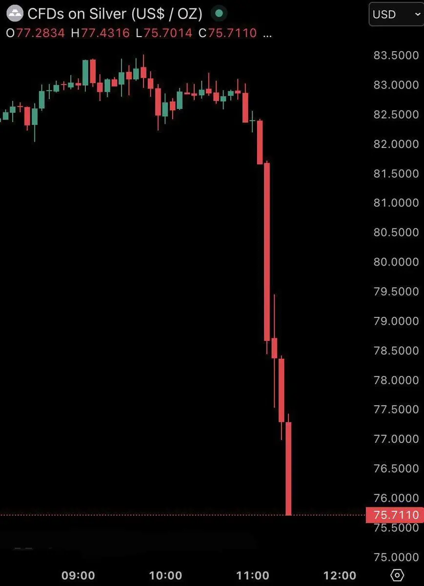 photo_2026-02-12_22-30-05