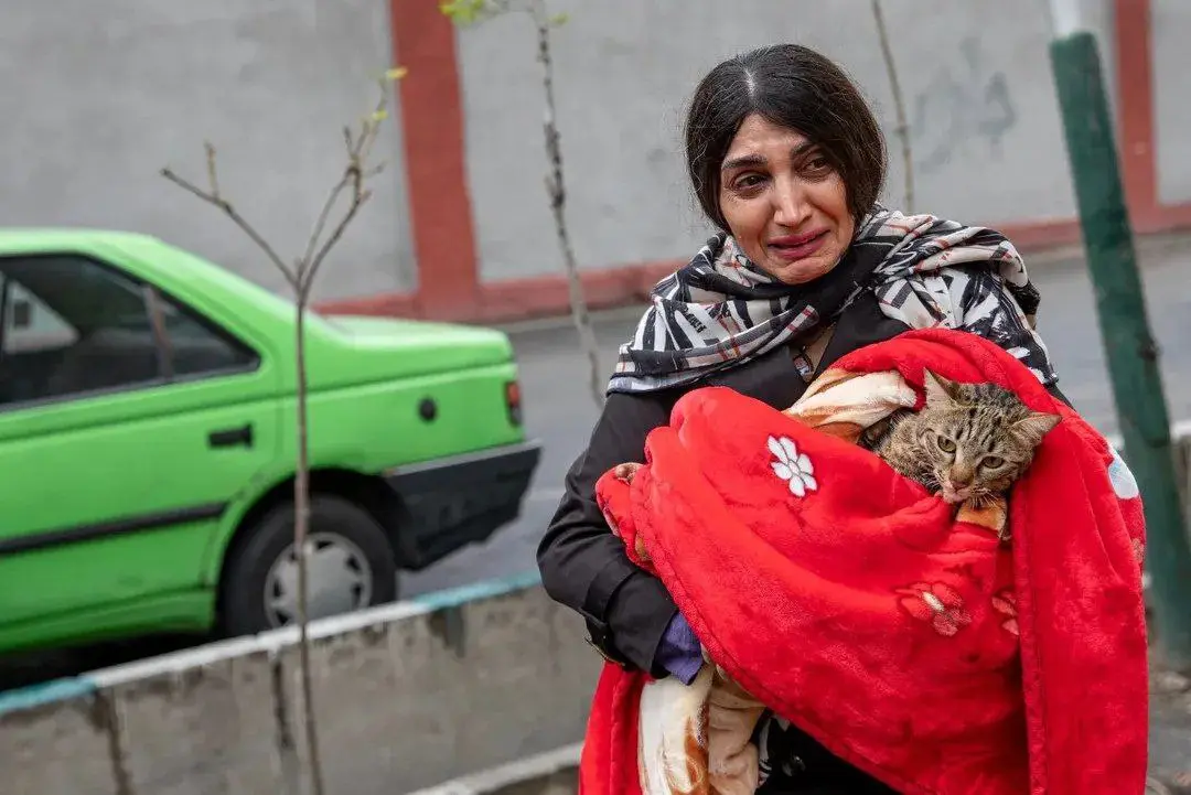 photo_2026-03-19_00-49-16 (3)