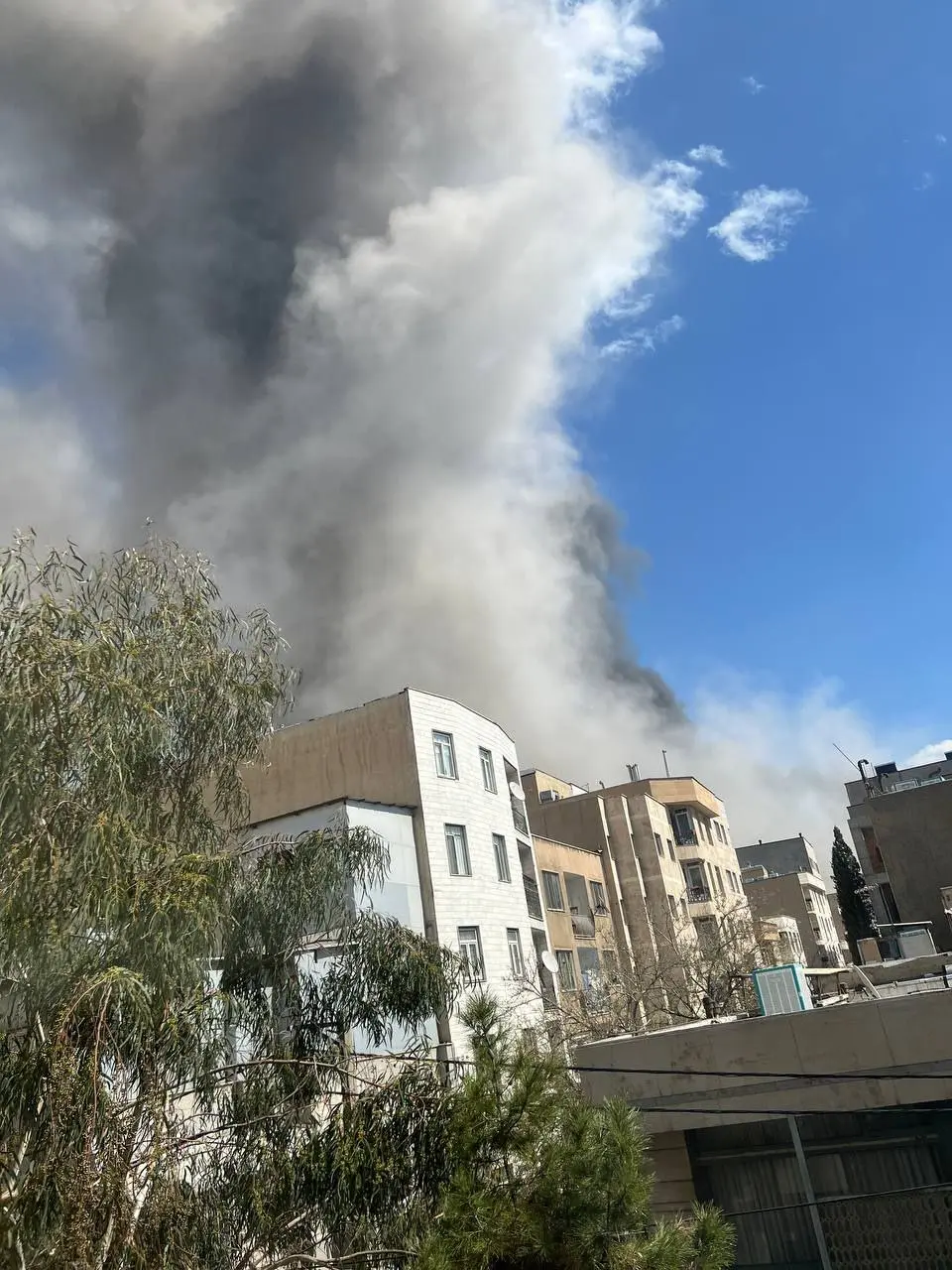 photo_2026-03-01_11-57-11