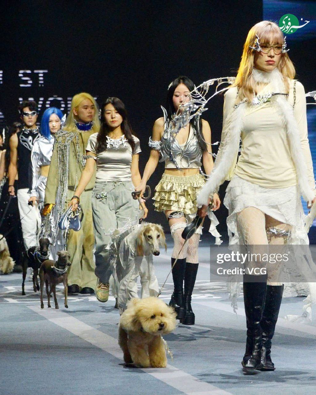 photo_۲۰۲۵-۱۱-۰۸_۰۲-۵۸-۰۵