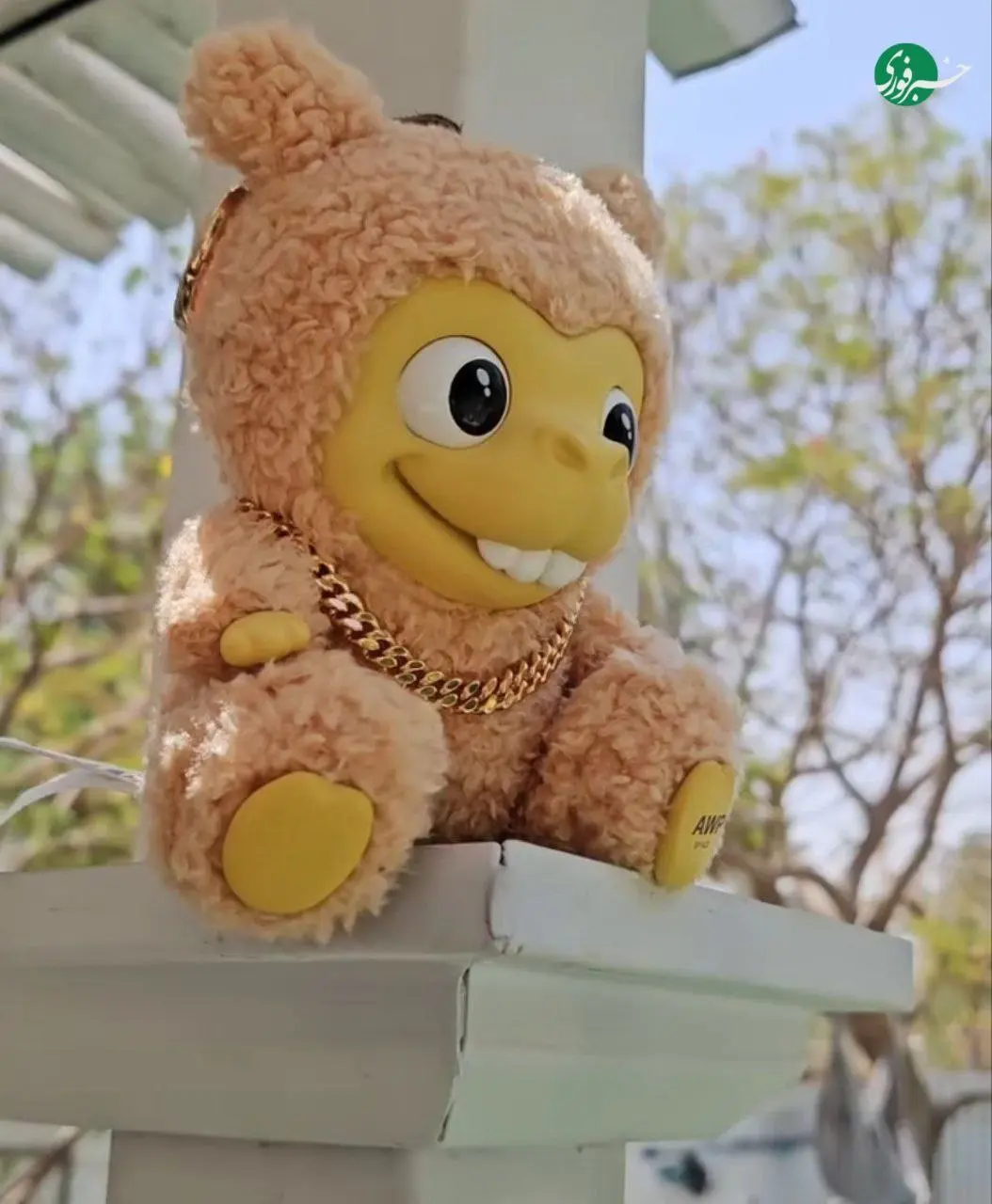 IMG_20251207_232623_953