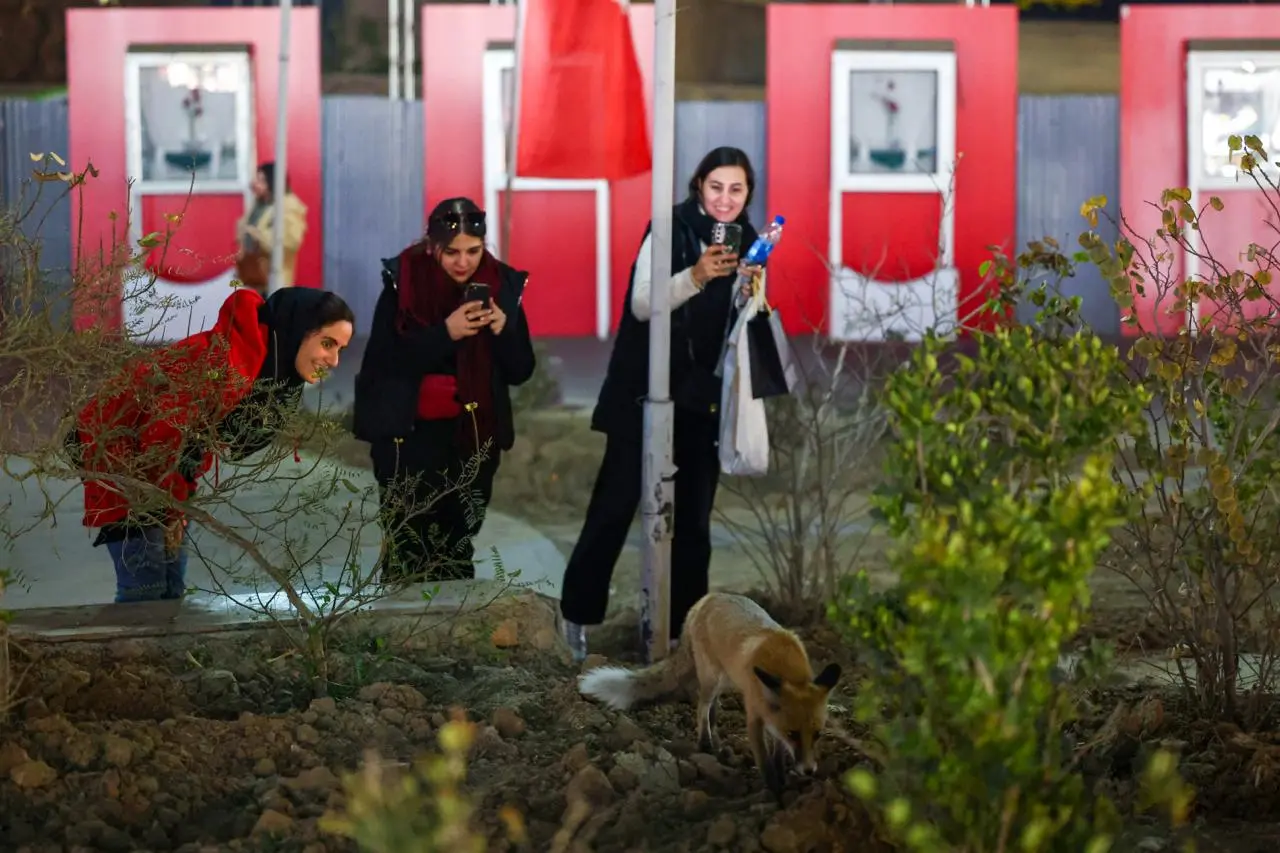 photo_2025-11-27_10-17-02