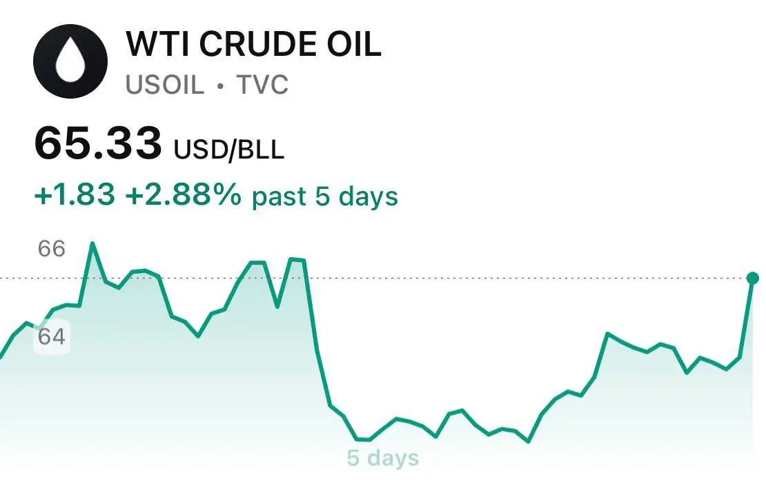 photo_2026-02-04_21-22-47