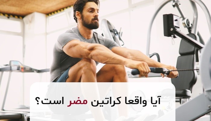 A person working out on a machine Description automatically generated - تصویر 2
