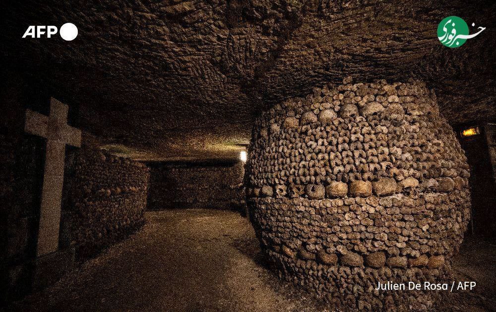 IMG_20251103_174455_864