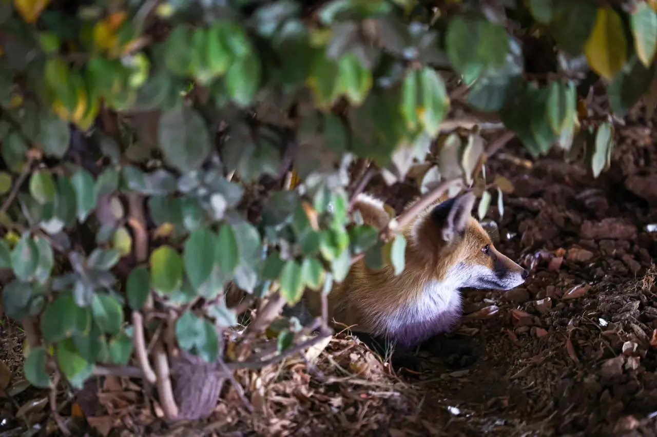 photo_2025-11-27_10-17-03