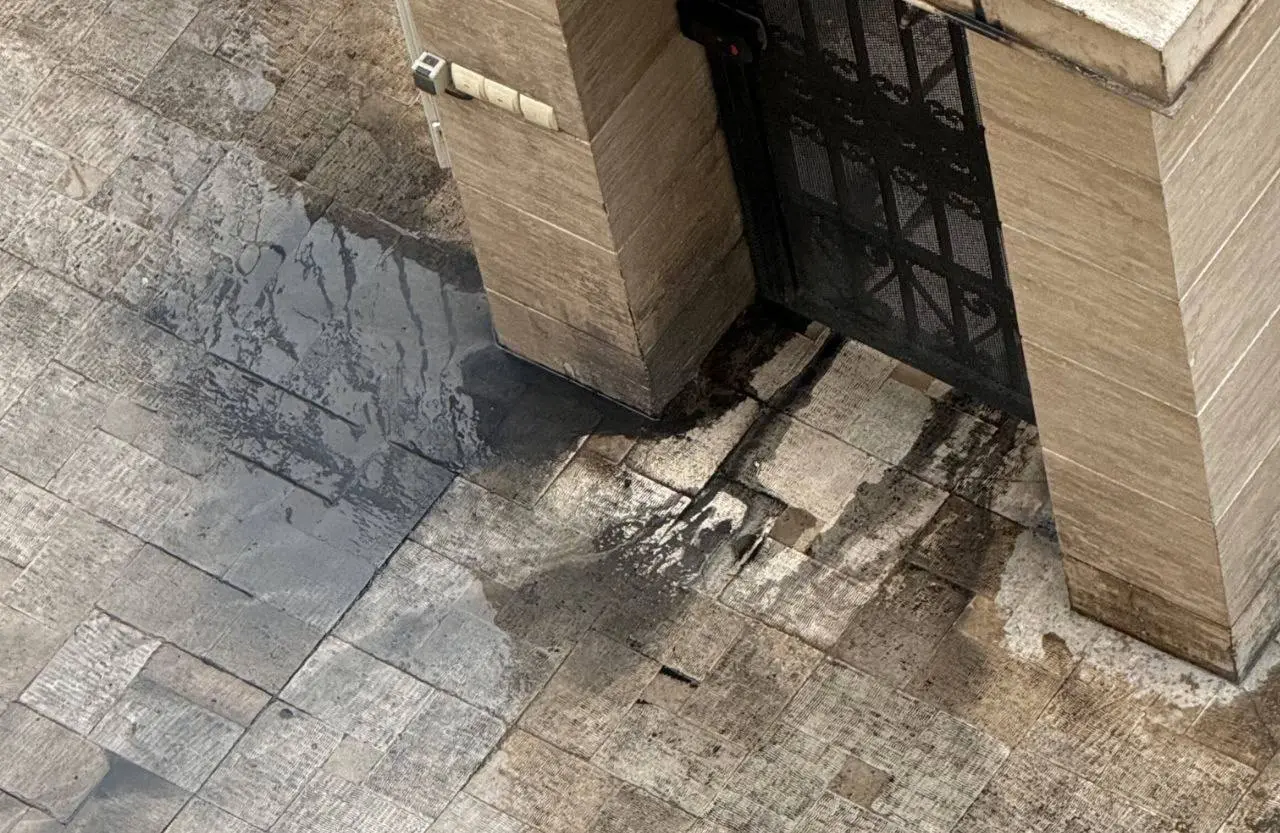 photo_2026-03-08_11-00-47