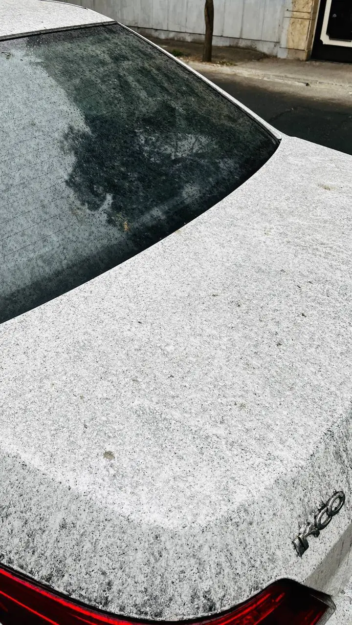 photo_2026-03-08_11-00-25