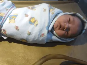 a315bba937d446169f7bffbf99f1a1dc