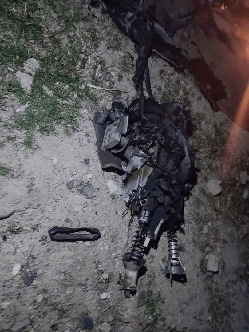 photo_2026-03-10_06-19-36