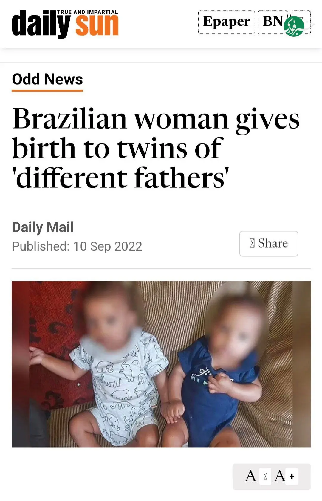 photo_۲۰۲۵-۱۱-۲۸_۰۱-۳۰-۴۹ (2)