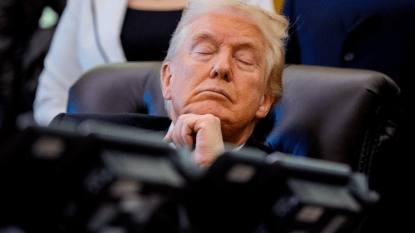 bba895581d4c491d94b94eee7c726dc1