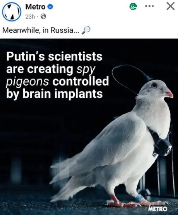 IMG_20251202_211012_391