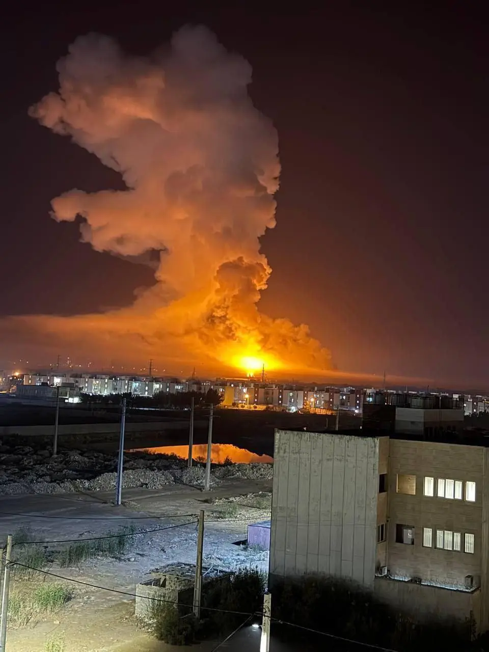 photo_2026-03-08_02-06-36