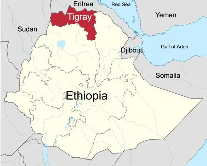 63996571