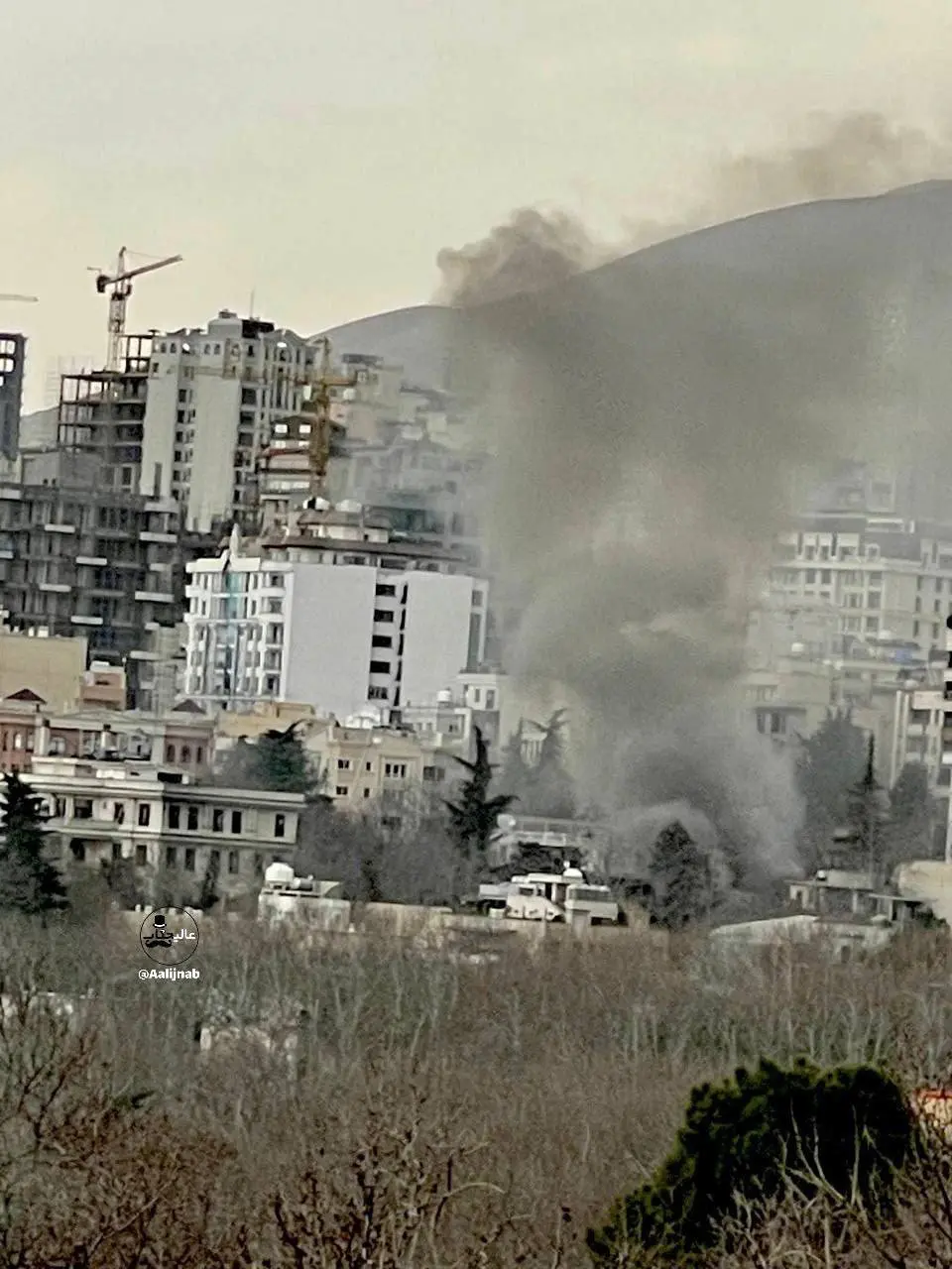 photo_2026-03-03_11-27-21