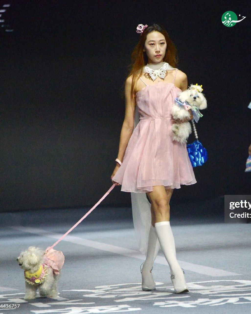 photo_۲۰۲۵-۱۱-۰۸_۰۲-۵۸-۰۵ (4)