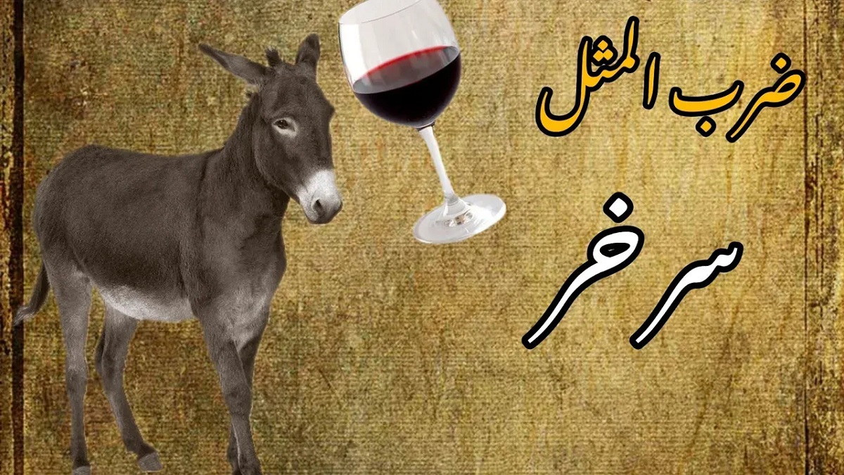 داستان-ضرب-المثل-سر-خر-1