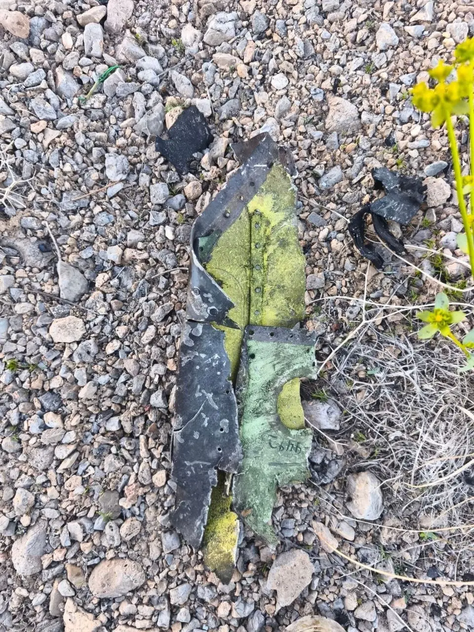 photo_2026-04-03_08-32-04