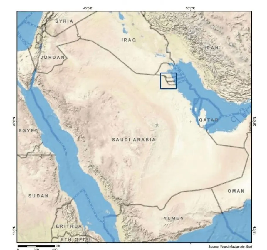 photo_2026-03-26_02-49-25 (2)