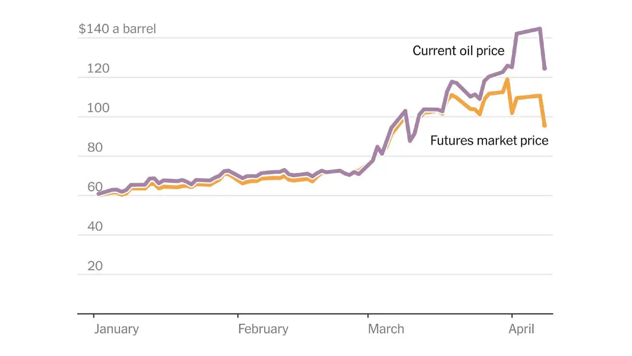 photo_2026-04-11_18-13-02