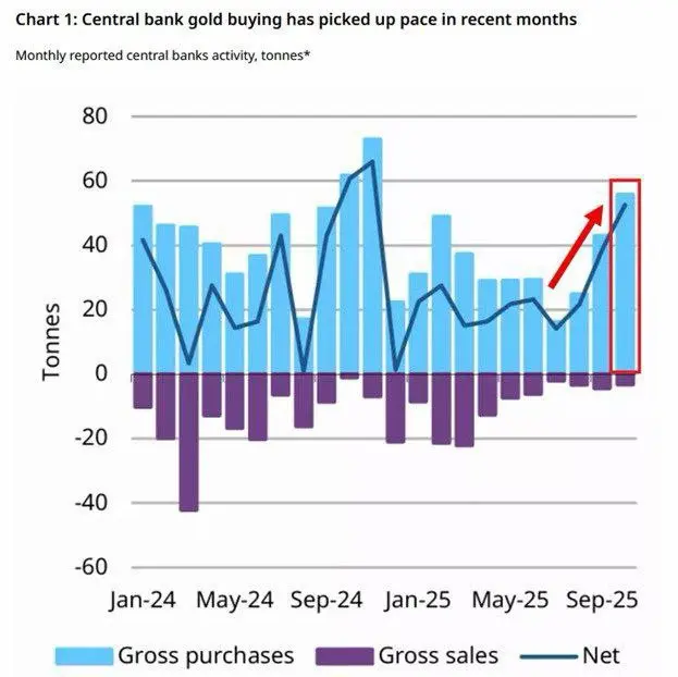 photo_2025-12-04_23-09-19