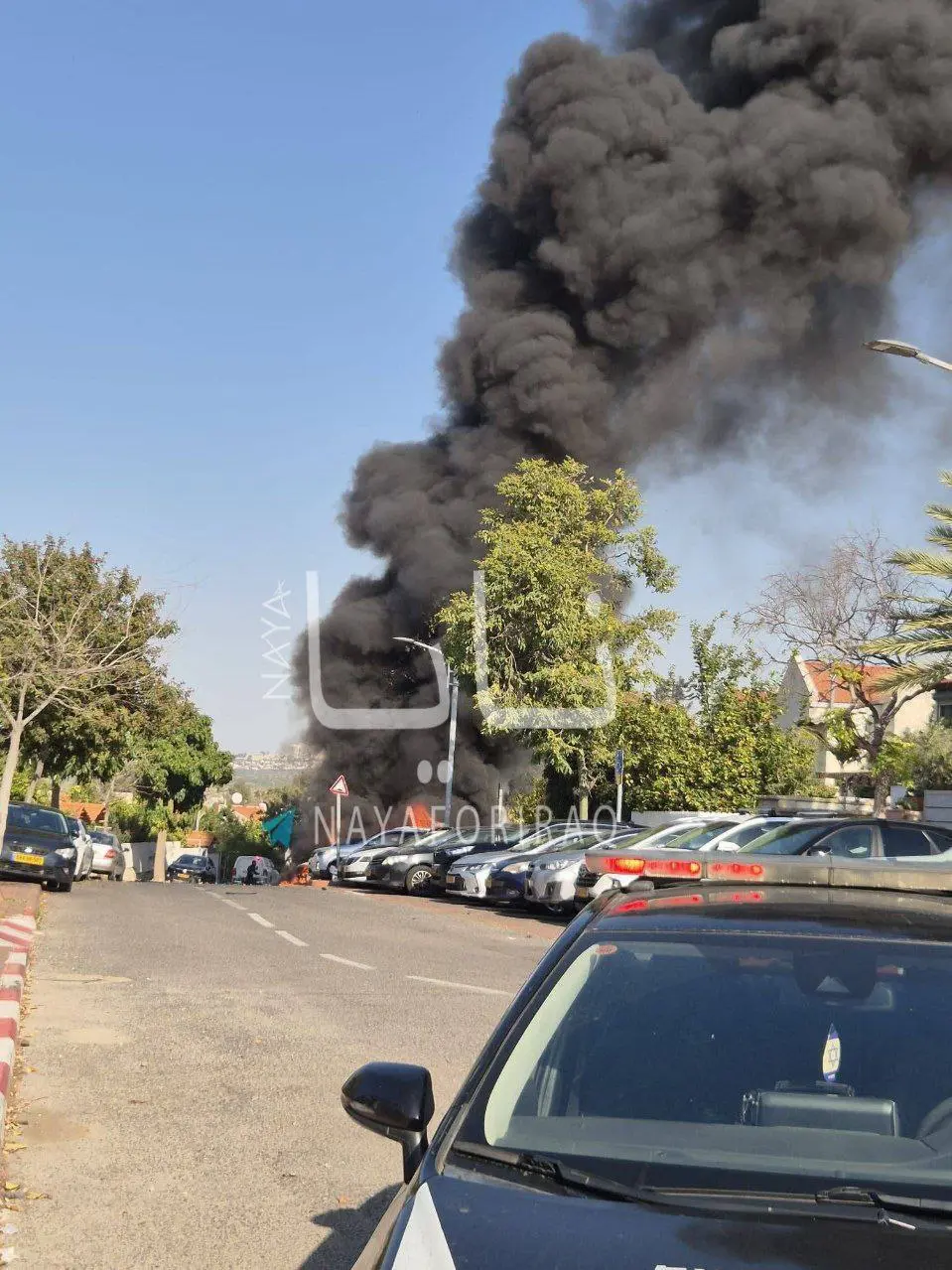 photo_2026-03-03_16-47-21