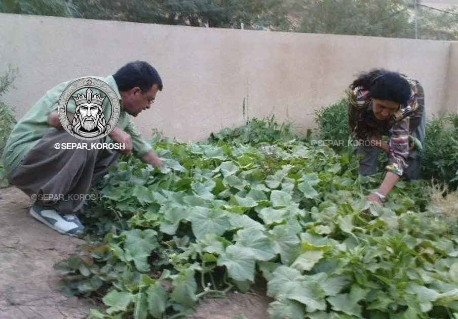 IMG_20260329_021854_724