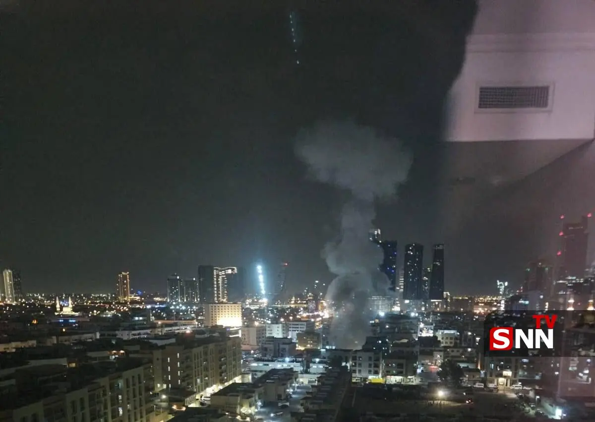 photo_2026-03-31_03-18-37