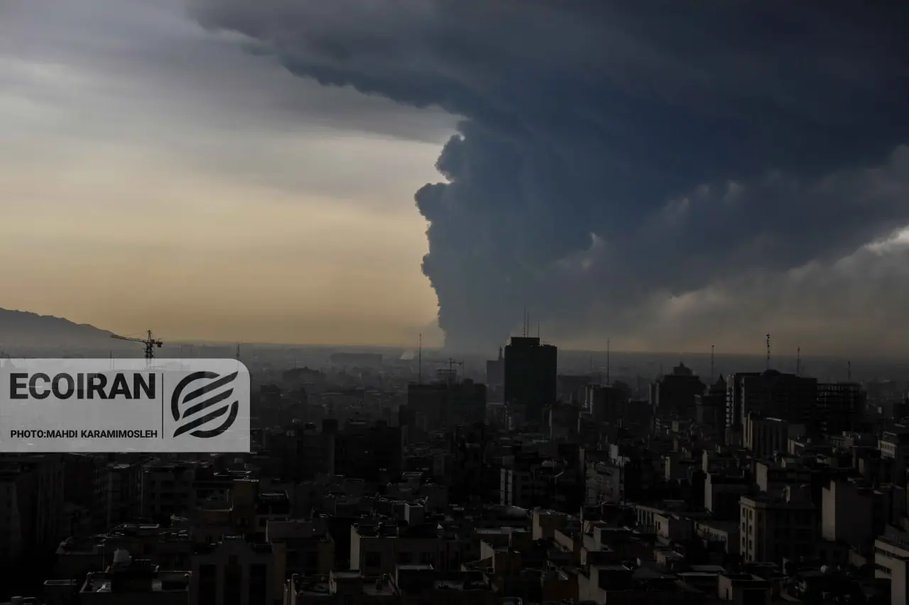 photo_2026-03-08_13-59-48 (3)