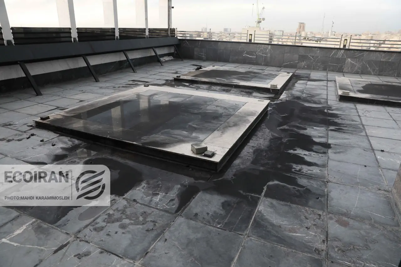 photo_2026-03-08_13-59-48 (4)