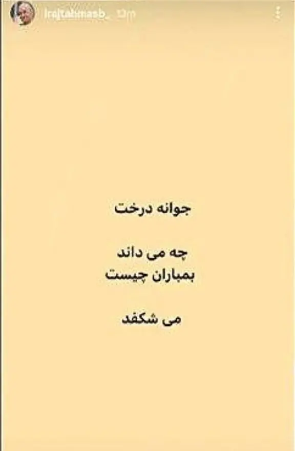 photo_2026-03-26_01-36-08