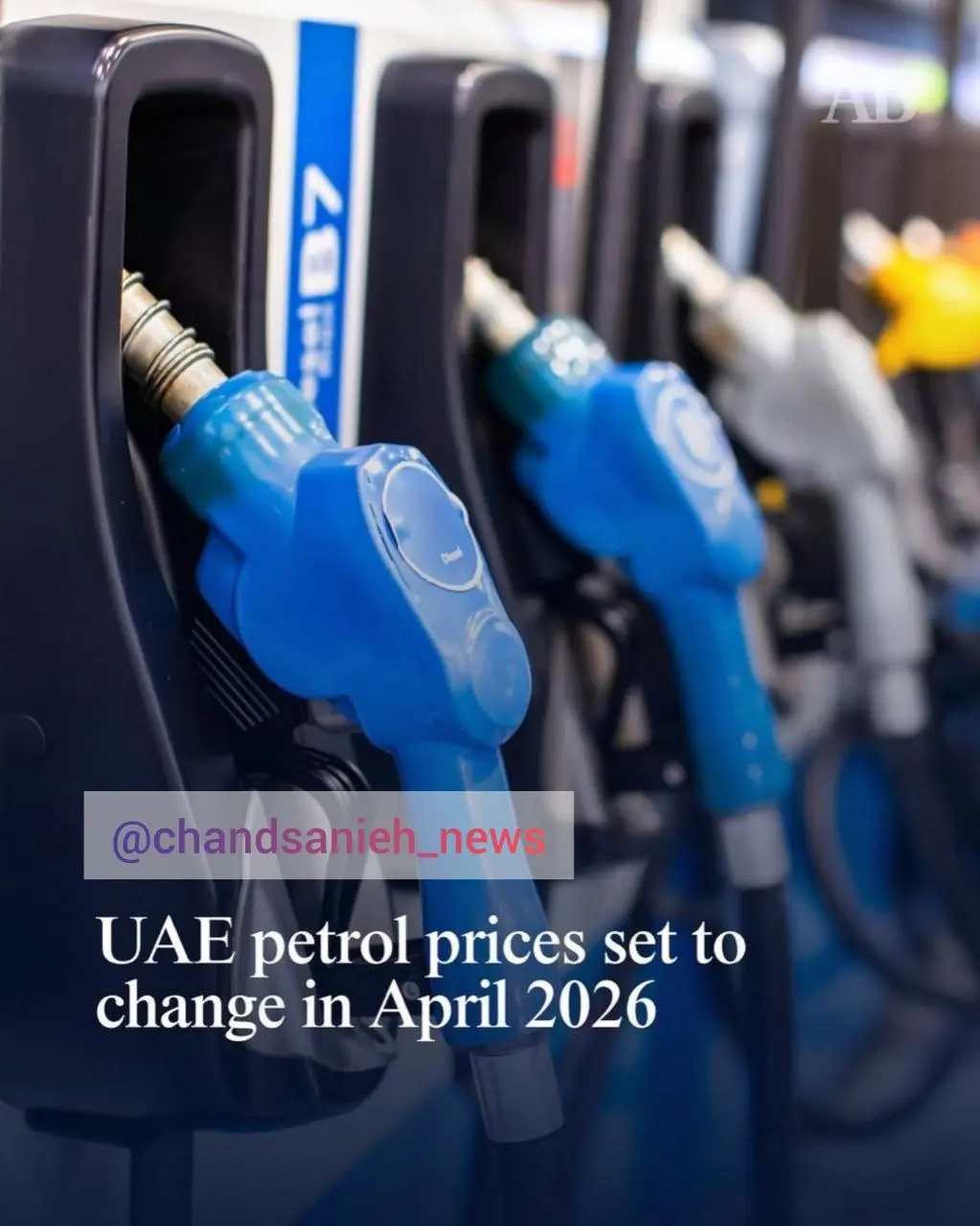 photo_2026-03-27_03-03-46