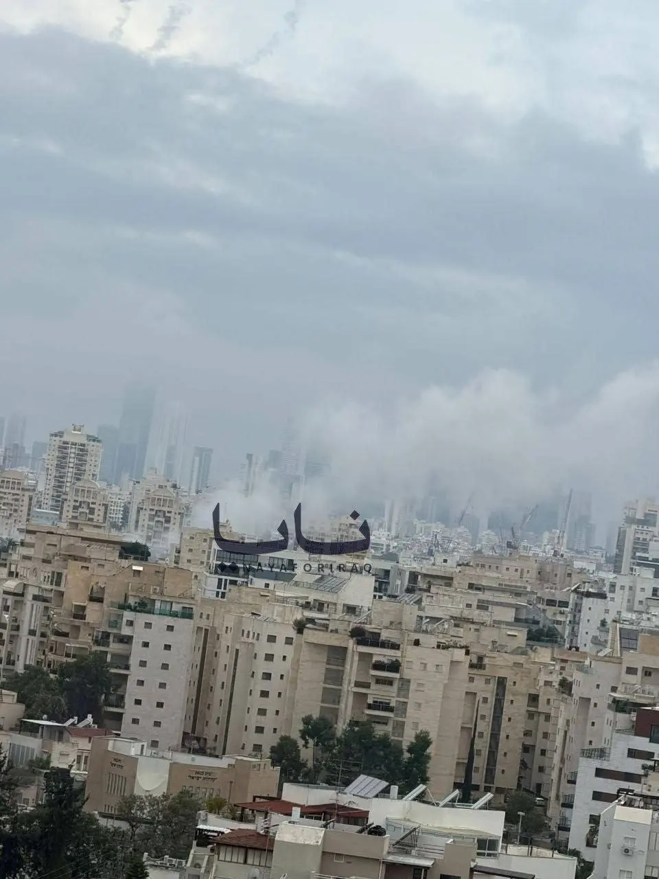 photo_2026-03-26_08-56-39